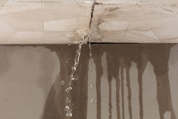 Professional Burst Pipe Cleanup technician working in Millville, NJ